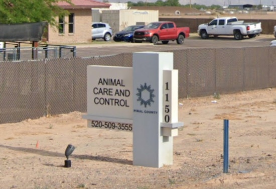 Pinal County Animal Care Seeks Public's Aid in Locating Suspect of Dog Abandonment in Florence
