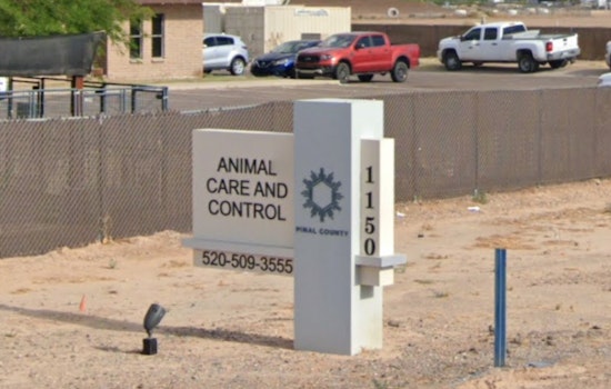Pinal County Animal Care Seeks Public's Aid in Locating Suspect of Dog Abandonment in Florence
