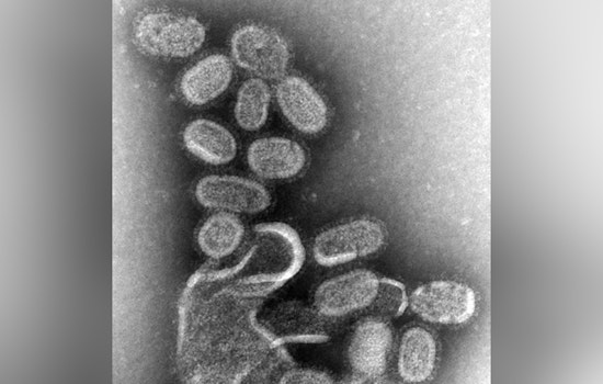 Pinal County Confirms First Pediatric Flu Death of the Season Amid Rising Cases in Arizona