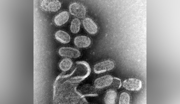 Pinal County Confirms First Pediatric Flu Death of the Season Amid Rising Cases in Arizona