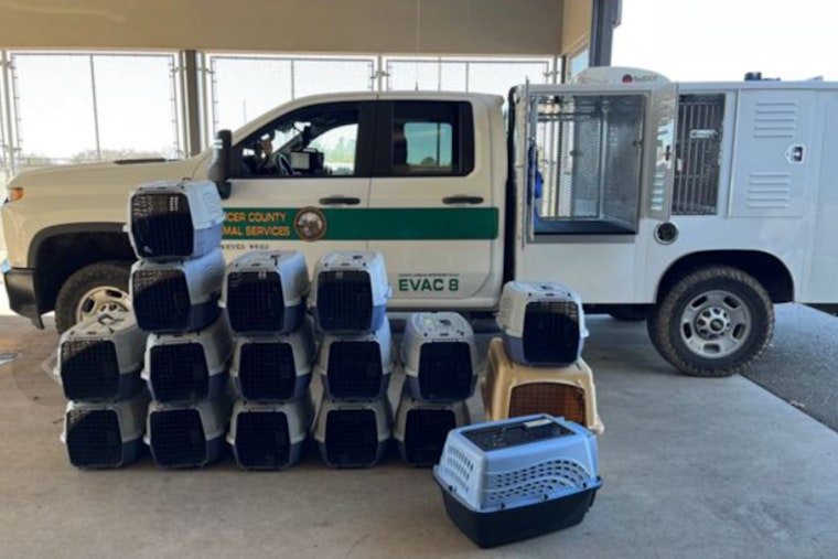 Placer County Animal Services and FieldHaven Feline Center Team Up to Rescue 47 Cats from Southern California Wildfires