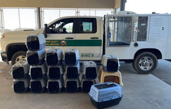 Placer County Animal Services and FieldHaven Feline Center Team Up to Rescue 47 Cats from Southern California Wildfires