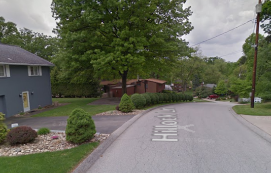 Pleasant Hills Stabbing: Elderly Man in Custody, Woman Hospitalized in Critical Condition