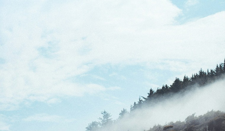 Portland Shrouded in Fog as Temperatures Hover Around the Freezing Mark