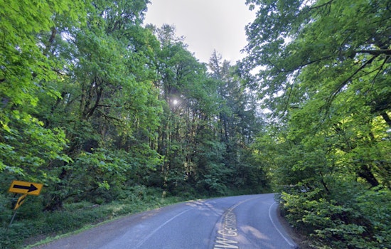 Portland Stands Against PGE's Controversial Power Line Plan Through Forest Park Over Environmental Concerns