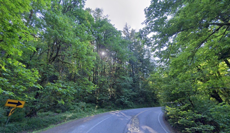 Portland Stands Against PGE's Controversial Power Line Plan Through Forest Park Over Environmental Concerns