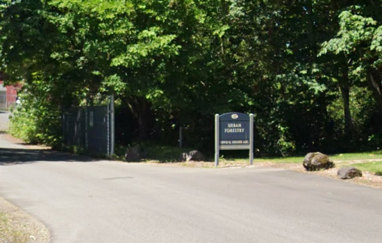 Portland Urban Forestry Launches Streamlined Tree Removal Permit Process to Enhance User Experience