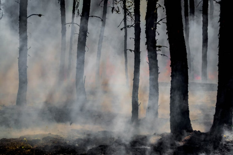 Powell Mountain Wildfire Fully Contained at 66 Acres in Claiborne County