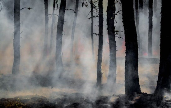 Powell Mountain Wildfire Fully Contained at 66 Acres in Claiborne County