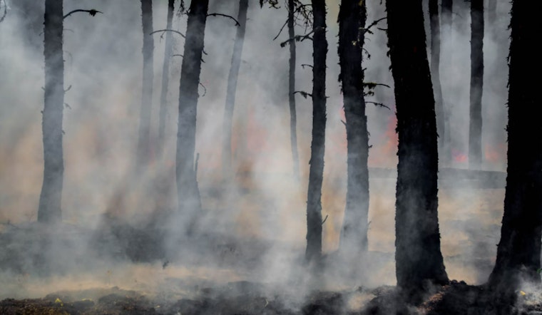 Powell Mountain Wildfire Fully Contained at 66 Acres in Claiborne County