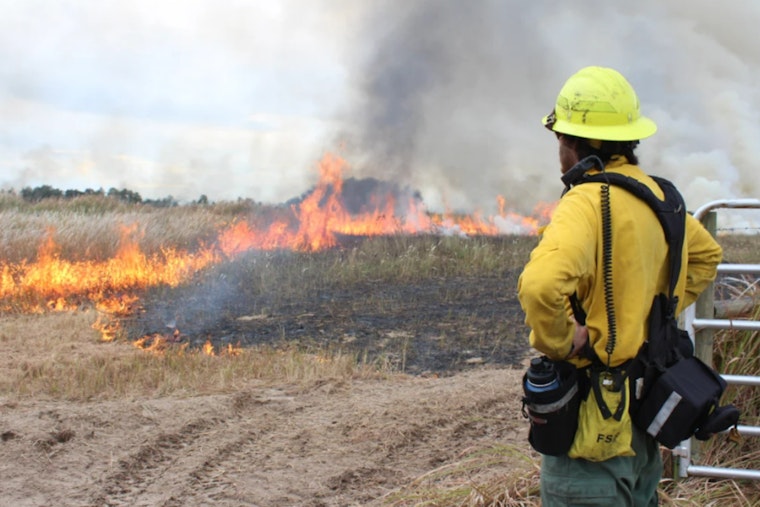 Prescribed Fire Fest Returns to Edward Medard Conservation Park in Plant City