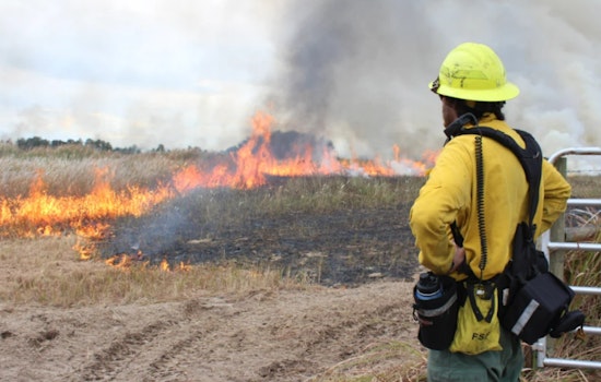 Prescribed Fire Fest Returns to Edward Medard Conservation Park in Plant City