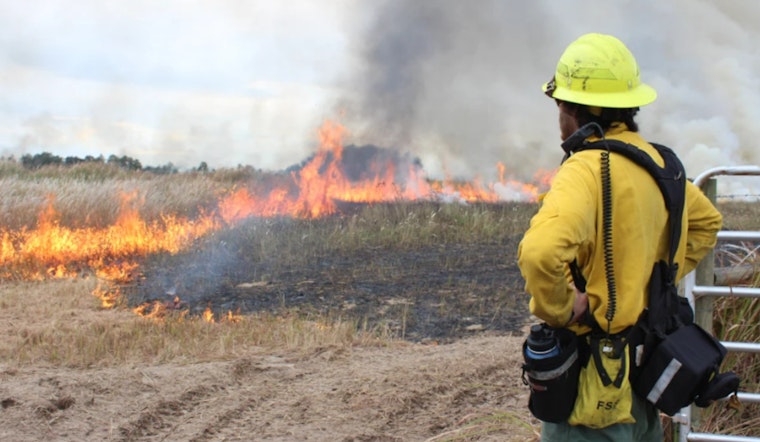 Prescribed Fire Fest Returns to Edward Medard Conservation Park in Plant City