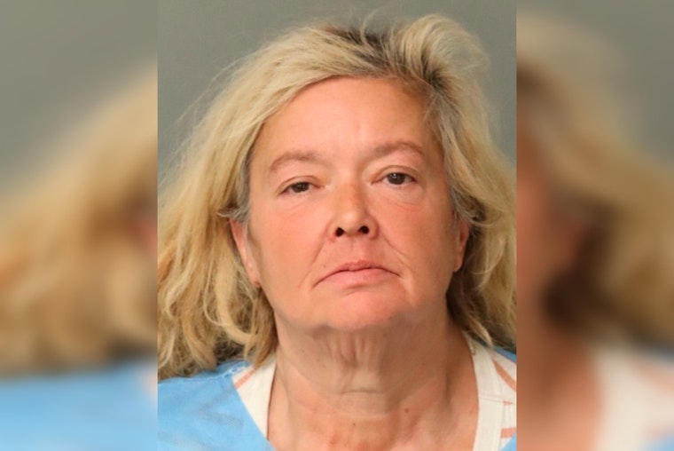 Raleigh House of Art Destroyed by Fire Woman with Prior Arson Conviction Charged