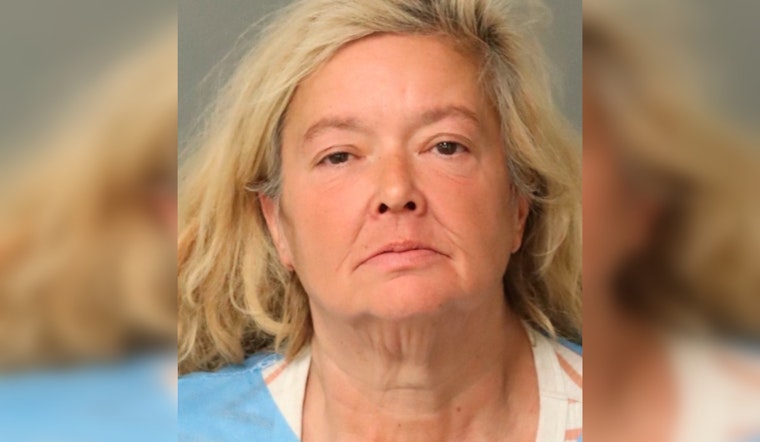 Raleigh House of Art Destroyed by Fire Woman with Prior Arson Conviction Charged