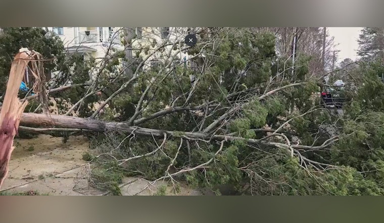 Raleigh Issues PSA on Reporting Tree Hazards Post-Storm and Urges Distinction Between Emergency and Non-Emergency Cases