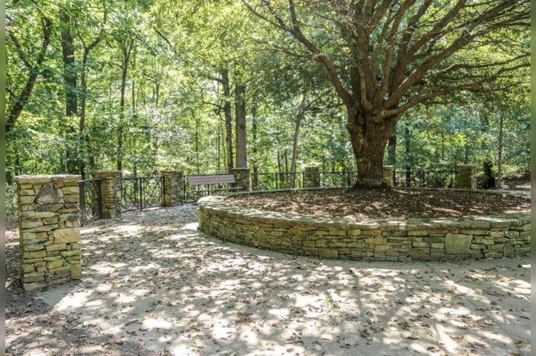 Raleigh Seeks Community Input for "Leaf Out" Initiative to Nurture Urban Forest and Green Spaces