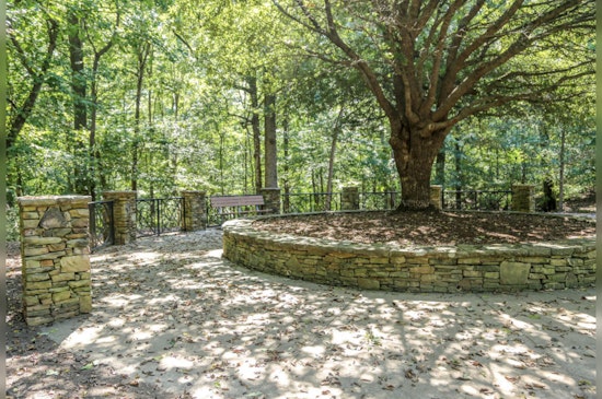 Raleigh Seeks Community Input for "Leaf Out" Initiative to Nurture Urban Forest and Green Spaces