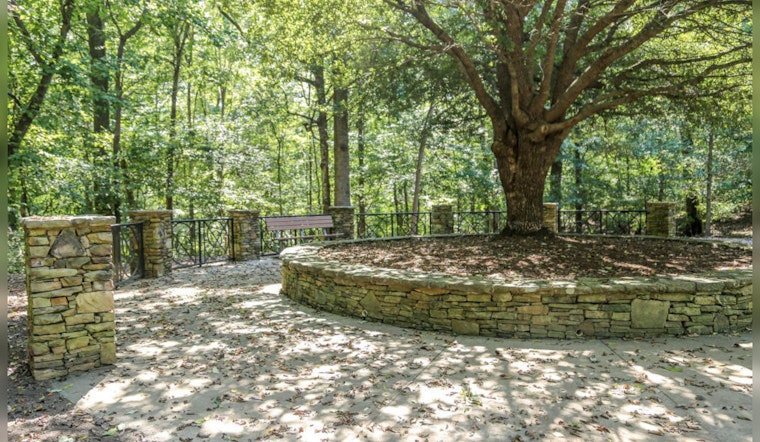 Raleigh Seeks Community Input for "Leaf Out" Initiative to Nurture Urban Forest and Green Spaces