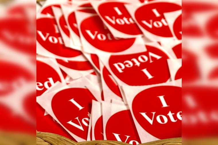 Rice County Townships Gear Up for Local Elections with Key Seats Up for Grabs