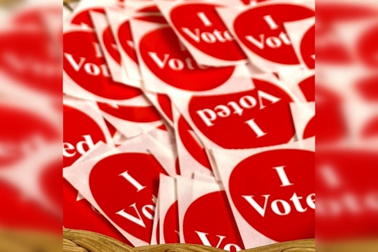 Rice County Townships Gear Up for Local Elections with Key Seats Up for Grabs