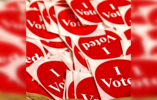 Rice County Townships Gear Up for Local Elections with Key Seats Up for Grabs