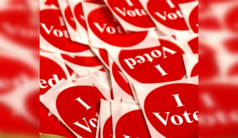 Rice County Townships Gear Up for Local Elections with Key Seats Up for Grabs
