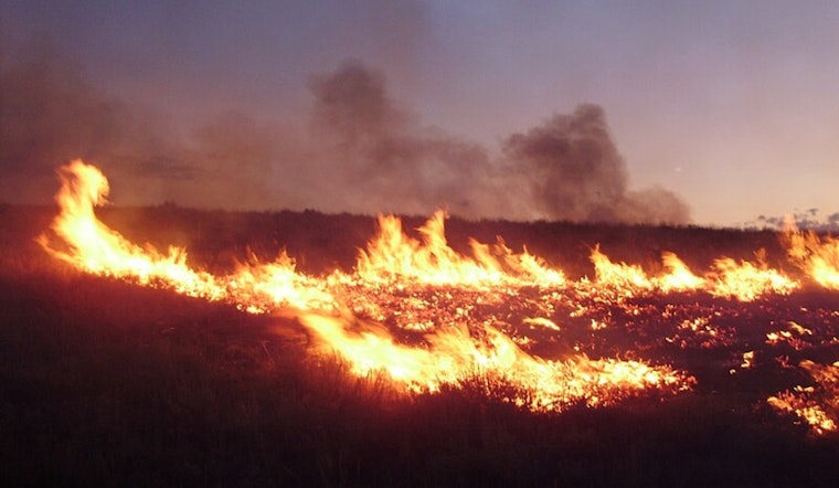 Riverside County Firefighters Quell Chambers Fire in Hemet Amid Severe Santa Ana Winds