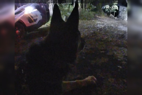 Routine Patrol Leads to Arrest of Two Suspected Burglars in Nevada City