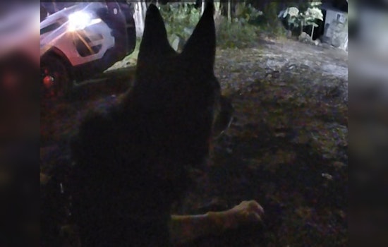 Routine Patrol Leads to Arrest of Two Suspected Burglars in Nevada City