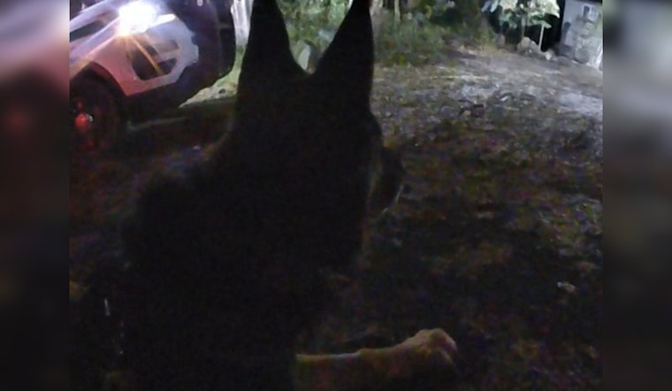 Routine Patrol Leads to Arrest of Two Suspected Burglars in Nevada City