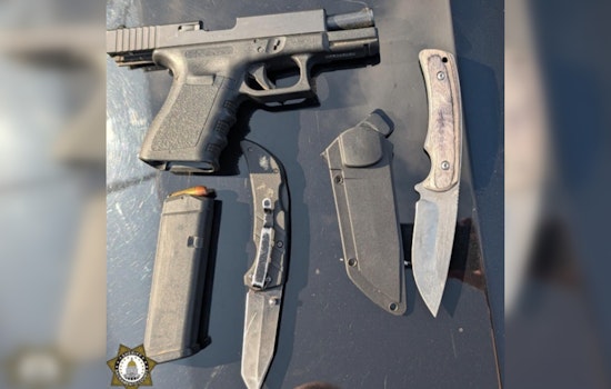 Sacramento Teen Arrested with Loaded Gun and Knives at Valley High School, Sibling Cited for Pepper Spray Possession
