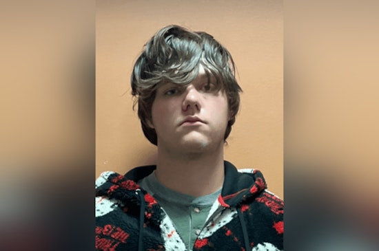 San Antonio Teenager Arrested, Accused of Animal Cruelty in Dog's Tragic Death