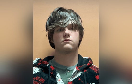 San Antonio Teenager Arrested, Accused of Animal Cruelty in Dog's Tragic Death