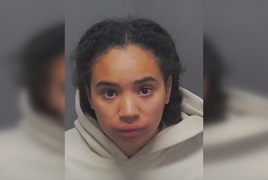 San Antonio Woman Accused of Puppy Abuse to Face Pre-Trial Hearing Amid Public Outcry