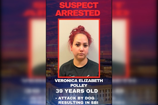 San Antonio Woman Charged After Pit Bull Attack Leaves Man with Severe Injuries