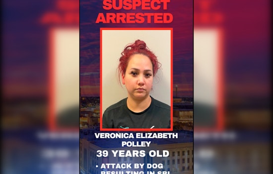 San Antonio Woman Charged After Pit Bull Attack Leaves Man with Severe Injuries