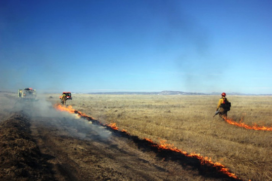 San Diego and Southern Orange County on High Alert for Wildfires as Santa Ana Winds Intensify