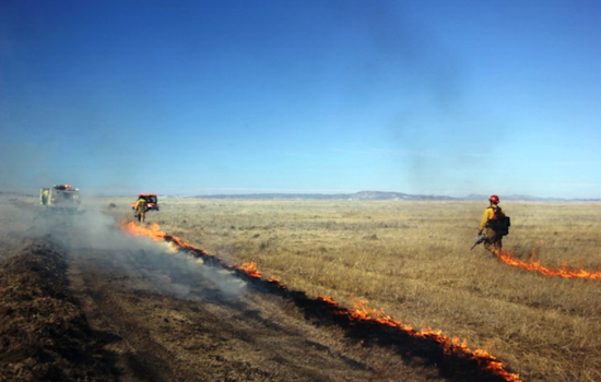 San Diego and Southern Orange County on High Alert for Wildfires as Santa Ana Winds Intensify