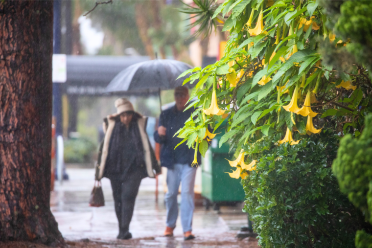 San Diego Braces for Wet Weekend: City Takes Precautionary Measures to Mitigate Flood Risks