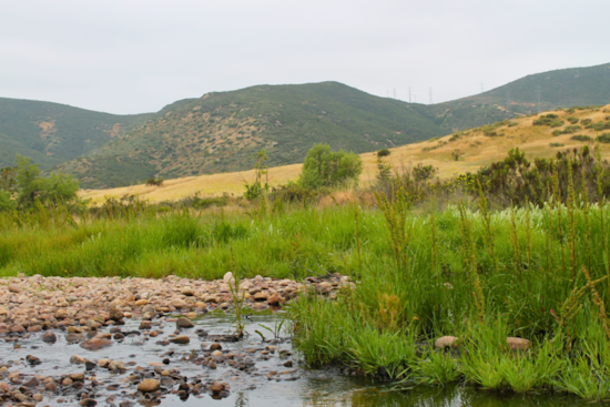 San Diego Enhances Green Space by Adding 15 Acres to Mission Trails Regional Park