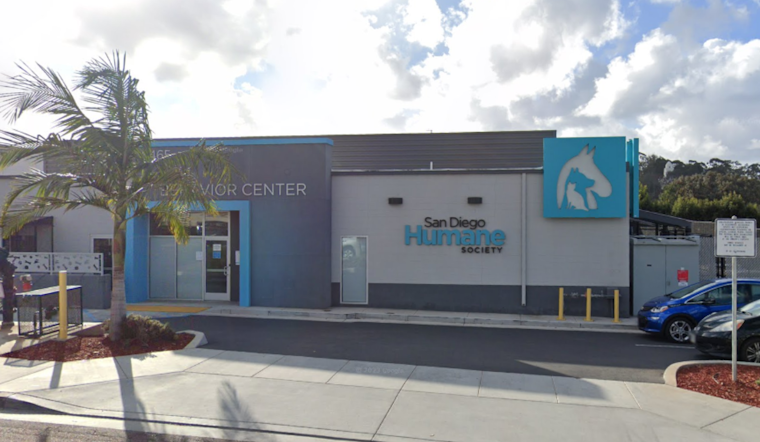 San Diego Humane Society Assists in Rescue Operations for Pets Affected by LA's Eaton Fire