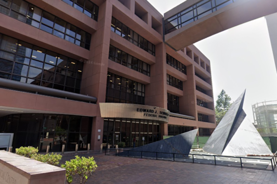 San Diego Surrogacy Firm Owner Pleads Guilty to Embezzling Client Funds