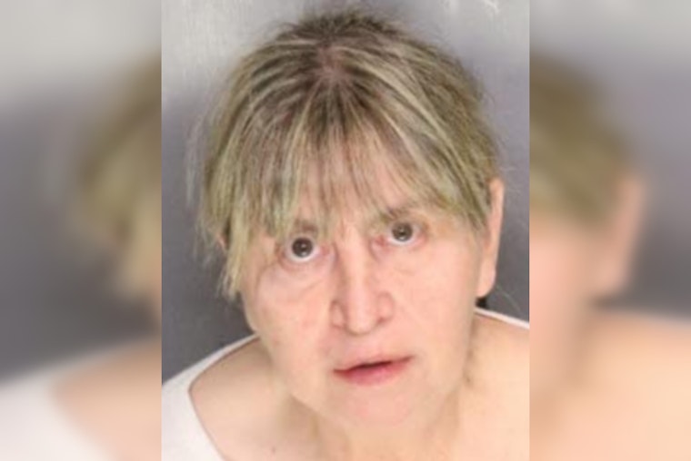 San Joaquin County Woman Charged After 27 Dead Horses Found on Her Clements Properties