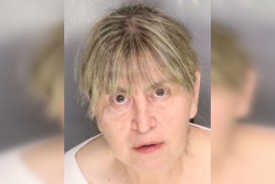 San Joaquin County Woman Charged After 27 Dead Horses Found on Her Clements Properties