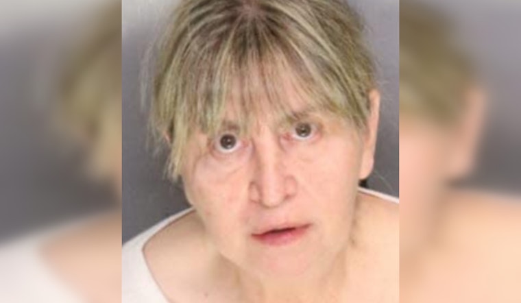 San Joaquin County Woman Charged After 27 Dead Horses Found on Her Clements Properties