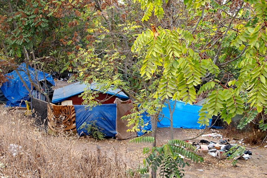 San Jose's Unhoused Brace for Encampment Sweeps Amid Shelter Shortages and Policy Changes