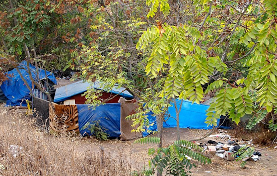 San Jose's Unhoused Brace for Encampment Sweeps Amid Shelter Shortages and Policy Changes