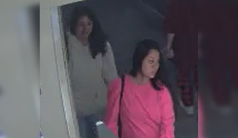 San Marcos Police Seeking Public's Aid in Identifying Suspects in $1,000 Target Theft Spree