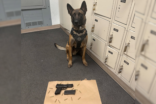 San Pablo K-9 Unit Thwarts Potential Danger During DUI Stop, Vallejo Man Arrested for Illegally Possessing Loaded Firearm
